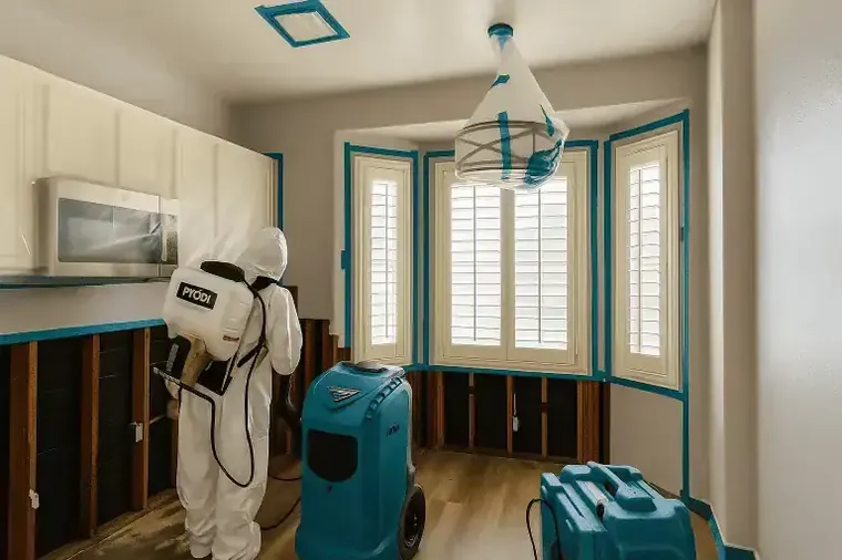 Category 3 black water backup cleanup in an Elkridge, MD home